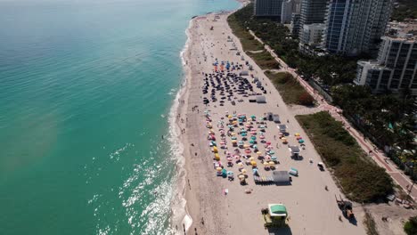 Aerial-view-of-parasols-and-sun-beds-on-the-Miami-beach-and-the-coastline-of-Florida,-USA---tilt,-drone-shot