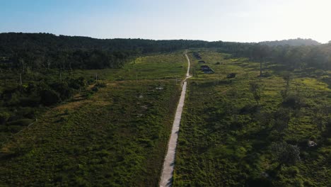 Langer-Gerader-Fußweg-Zwischen-Den-Grünen-Grasfeldern-Mit-Hohen-Bäumen-In-Den-Wäldern-An-Den-Seiten-Der-Felder-Auf-Der-Wunderschönen-Insel-Koh-Rong-Sanloem-In-Kambodscha