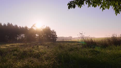 Early-morning-countryside-sunrise,-view-of-rural-field-on-a-sunny-clear-sky-day