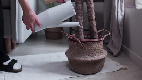 Person-Gießt-Die-Pflanzen-Zu-Hause-Und-Trinkt-Wasser-Aus-Einer-Plastikdose-In-Einen-Blumentopf