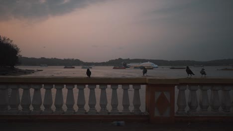 Black-crows-perched-on-a-concrete-bridge-overlooking-the-beautiful-Mandovi-River-at-sunset,-Goa,-India