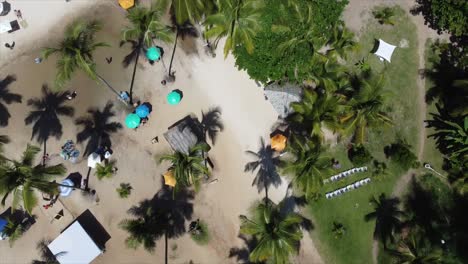 Overhead-Shot-of-Beautiful-Brazilian-Beach-flying-over-palm-trees-and-umbrellas