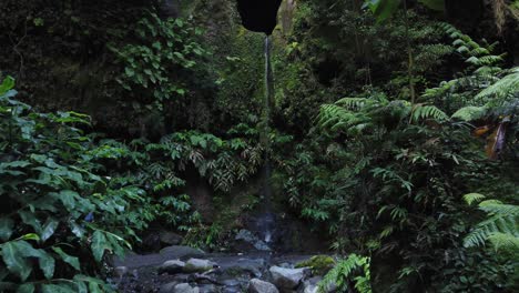 Spaziergang-Durch-Den-Grünen-Dschungel-Zwischen-Nassen-Pflanzen-Und-Blick-Auf-Den-Wasserfall
