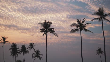Schöner-Sonnenuntergang-Mit-Palme-Im-Vordergrund-Auf-Einer-Tropischen-Insel