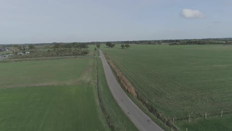 Drone-shot-of-a-road-between-meadows,-houses-and-animals