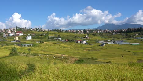 Una-Vista-De-Las-Terrazas-De-Los-Campos-De-Arroz-Con-Un-Pequeño-Pueblo-Al-Fondo-Con-Las-Estribaciones-Del-Himalaya-En-Nepal