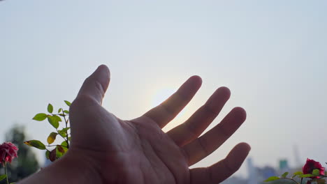 Nahaufnahme-Des-Öffnens-Der-Hand,-Während-Die-Sonne-über-Die-Handfläche-Scheint