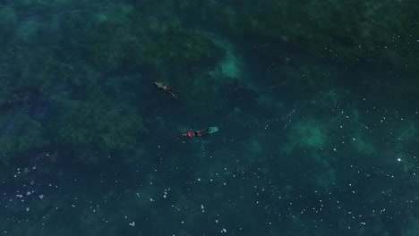 Luftaufnahme-Der-Surfline-Von-La-Jolla,-Während-Die-Drohne-über-Taucher-Fliegt