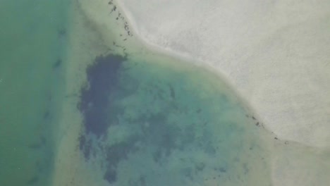 Laguna-Delmar-Vista-De-Drones-Panorámica-Lenta-Hacia-Arriba