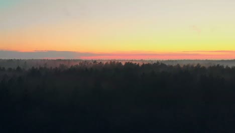 Erstaunlicher-Kranschuss-Von-Wildem-Grünem-Wald-Bei-Sonnenuntergang,-Osteuropa