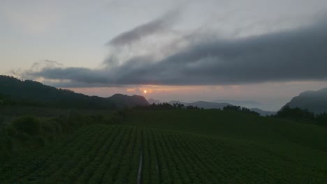 Serene-Sunset-over-Farmland-Crops-in-Veracruz,-Zongolica,-Mexico,-Aerial-Flight