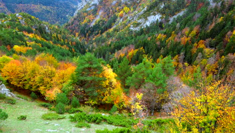 Luftaufnahme,-Die-In-Die-Herbstlichen-Bäume-In-Den-Bergen-Der-Spanischen-Pyrenäen-Fliegt