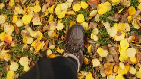 Man-with-heavy-winter-boots-walking-through-golden-autumn-leaves,-top-down