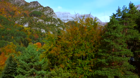 Luftaufnahme,-Die-In-Die-Herbstbäume-In-Den-Bergen-Der-Spanischen-Pyrenäen-Fliegt