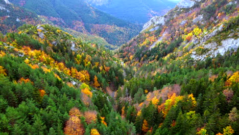 Luftaufnahme,-Die-In-Die-Herbstbäume-Zwischen-Bergen-In-Den-Spanischen-Pyrenäen-Fliegt