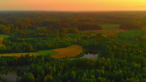 Breathtaking-serene-aerial-view-of-vast-European-forest-at-sunset,-backward