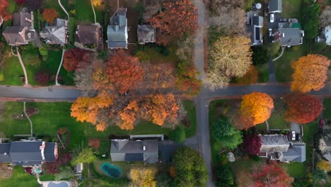 Top-down-aerial-of-car-driving-through-American-neighborhood-during-autumn