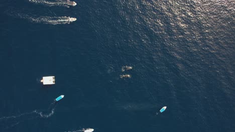 Tour-boats-watching-a-Grey-whales-in-Cabo,-Mexico---cenital,-aerial-view