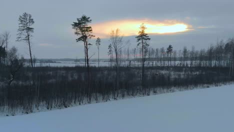 Low-Shot-Of-Snowy-Nature-Landscape-At-Clear-Sunset-Time,-Eastern-Europe
