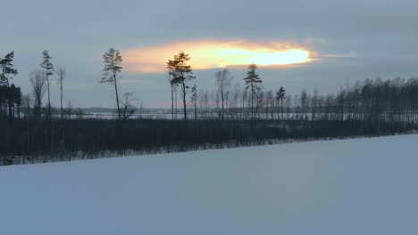 Denmark-nature-landscape-in-winter-sunrise,-aerial-truck-right
