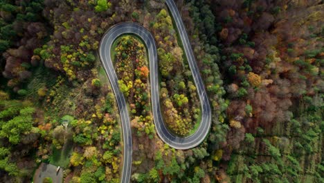 Impressive-aerial-view-of-a-winding-mountain-road-surrounded-by-seasonal-forest-in-Bieszczady,-Poland