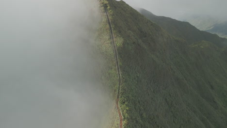 #hawaii-#treppen-#haiku-#ouha-#wanderung-#natur-#drohne-#usa-#stairwaytoheaven