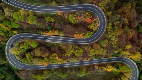 Incredible-dangerous-road-with-many-curves-surrounded-by-an-autumn-forest-with-yellow,-orange-and-green-trees