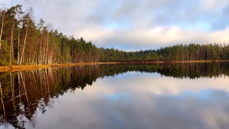 Forest-lake-scenery-with-calm-water-mirroring-the-woods