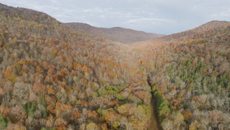 Aerial-footage-of-a-valley-of-Autumnal-colored-trees-before-winter-in-Tennessee-in-the-morning-with-golden-light