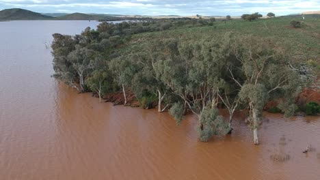 Aguas-De-Inundación-Cayendo-En-Cascada-Sobre-Un-Muro-De-Presa-Desde-Un-Dron-6