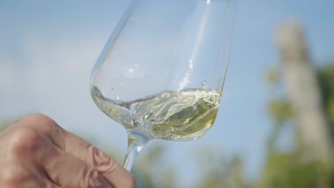 Hand-Shaking-White-Wine-In-Transparent-Glass-In-Front-Of-Vineyard