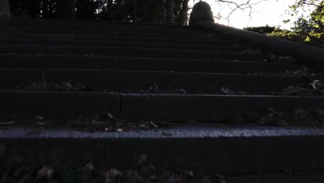 Climb-the-old-concrete-stairs-where-the-sunlight-reaches-and-look-up-at-the-trees