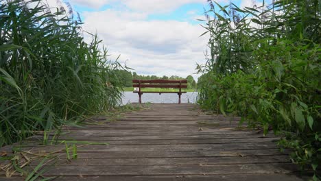 An-old-wooden-fishing-platform-amidst-the-greenery-of-reeds-and-nettles