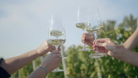 Group-Of-People-Raising-Their-Wine-Glasses-Touching-Them-Together-In-Green-Vineyard