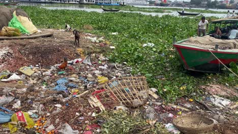 Scavengers-load-things-found-on-a-dump-site-onto-boat-as-goats-forage-for-food
