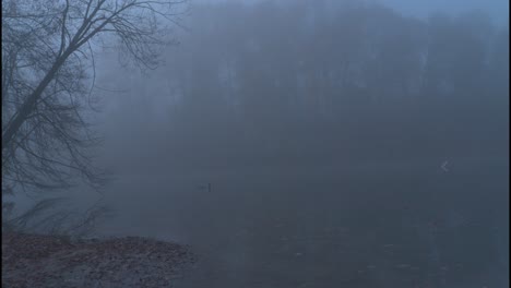 Nebelwasser-Kameraschwenk-Rechts