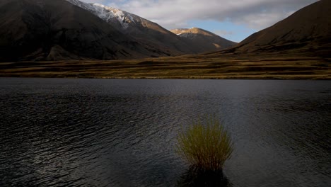 Individual-bush-on-a-calm-lake-and-golden-brown-mountains-with-a-fresh-layer-of-snow