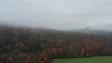 Aerial-view-of-foliage-with-fog