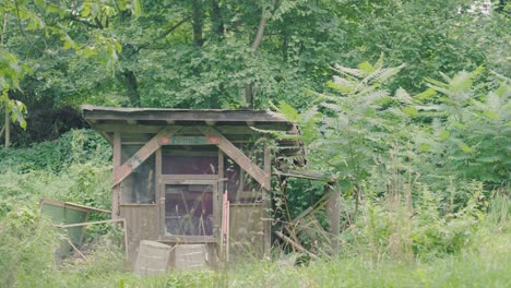 Scenic-shot-of-a-wooden-self-made-diy-shelter-hut-in-the-woods-with-grass,-fern-and-trees-growing-around-it-in-the-wilderness