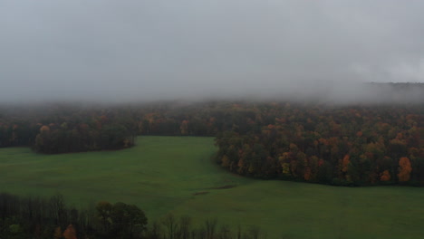 Foggy-foliage-and-deserted-fields