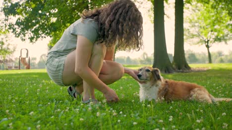 Liebevoller-Haustierbesitzer-Und-Hundetrainer,-Der-Einen-Gesunden-Hund-Mit-Liebe,-Zuneigung-Und-Fürsorge-Streichelt