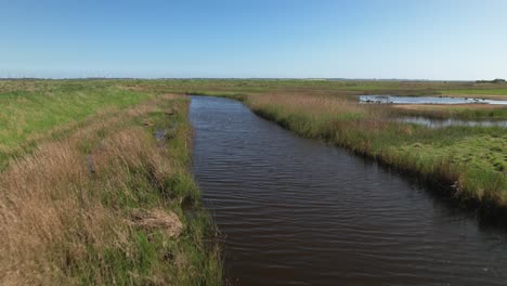 Coastal-Freshwater-Marsh-Flowing-In-The-Pasture-Land-In-Tollesbury-Wick,-Essex,-UK