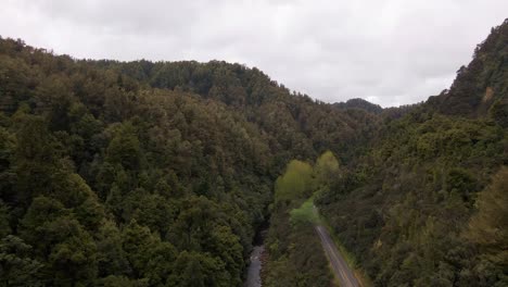 Dense-New-Zealand-Jungle-with-a-river-in-the-valley-between