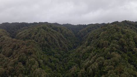 Above-the-mountainous-rainforest-of-New-Zealand's-central-north-Island