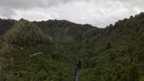 Rugged-canyon-overgrown-by-dense-rainforest-in-New-Zealand