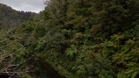 Brauner-Fluss,-Der-Sich-Durch-Ein-Tal-In-Einem-Dichten-Neuseeländischen-Wald-Schlängelt