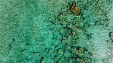 Drone-overhead-group-of-divers-and-snorkelers,-turquoise-Mediterranean-ocean