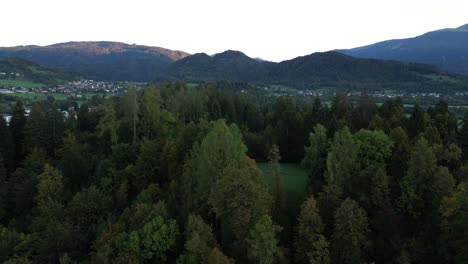 Emergiendo-Sobre-Los-árboles-En-Eslovenia-Durante-El-Amanecer