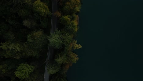 Eine-Top-Down-Perspektive-Des-Lake-Bled-Im-Herbst