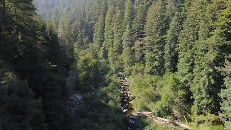 Drone-Fly-Over-Droughty-San-Lorenzo-River-In-Henry-Cowell-Redwoods-State-Park-In-California,-Felton,-United-States